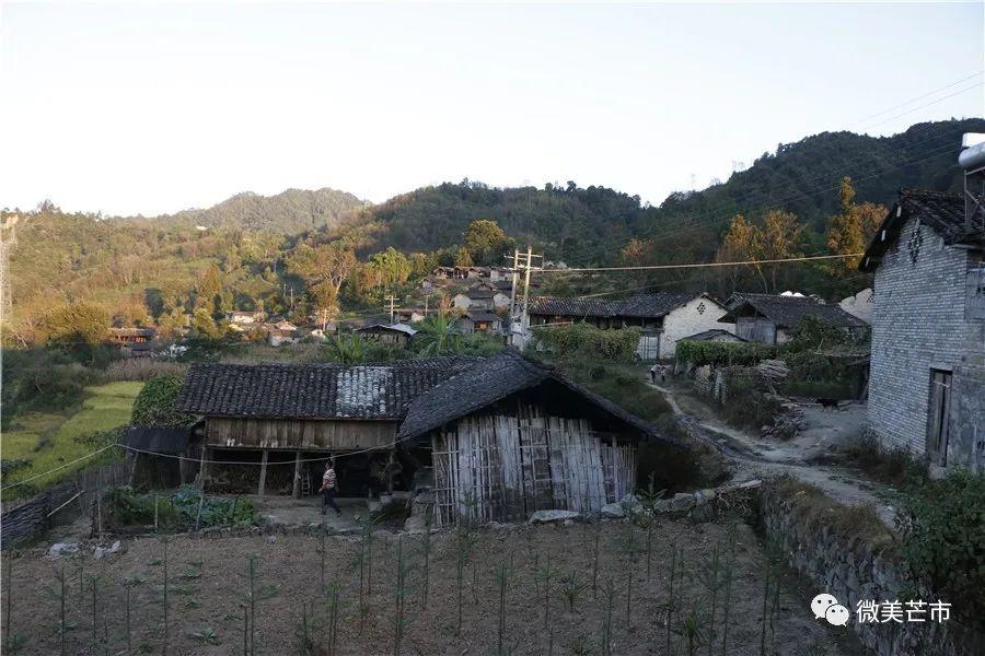 軒崗搬遷最新動態(tài)，詳細步驟指南與最新進展報告