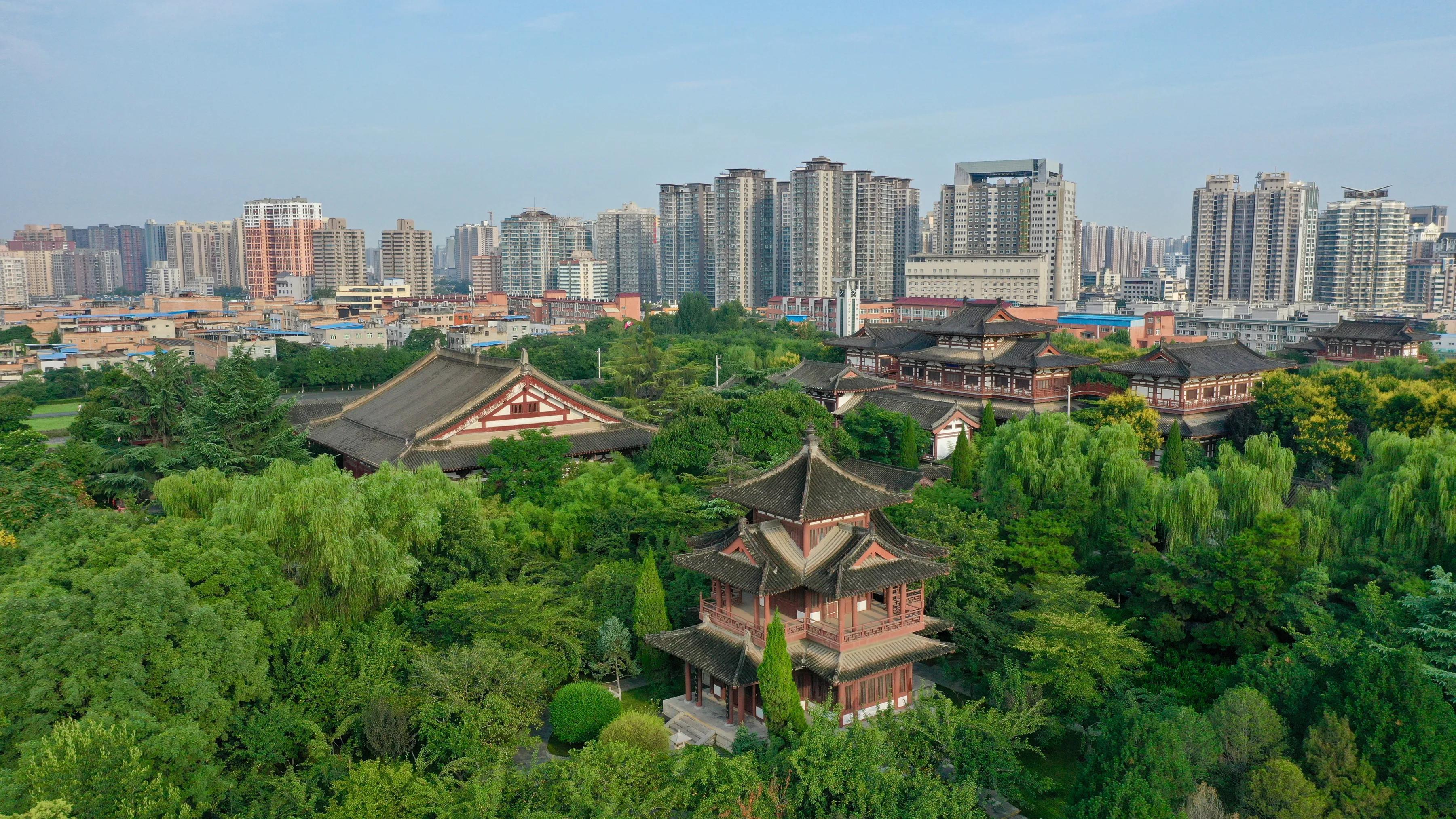 公園時代最新房價動態(tài)，學習之旅與自信種子的交織影響